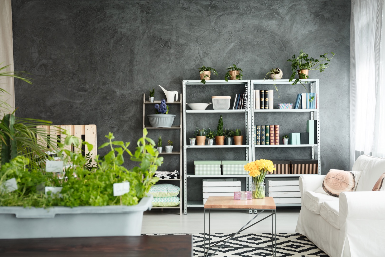 Confortable apartment
